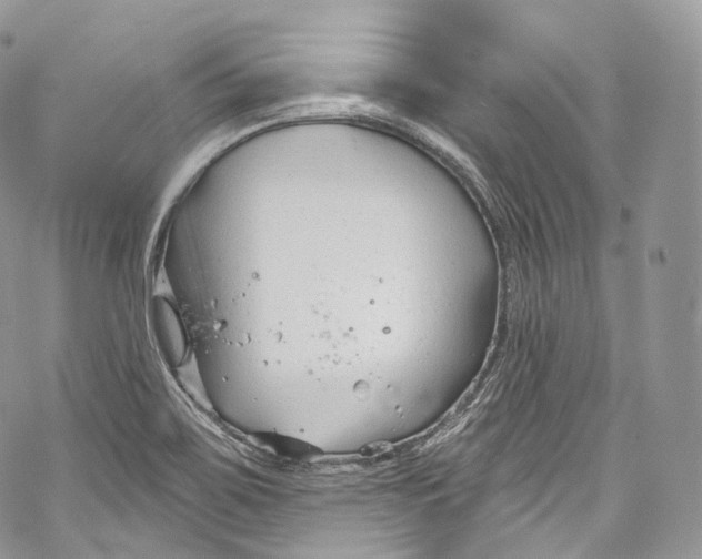 X0000069361467200606021441