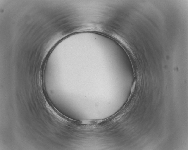 X0000069361468200606021441