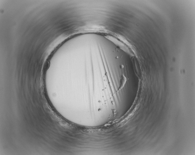 X0000069361469200606021441