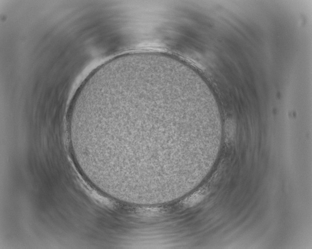 X0000069361470200606021441