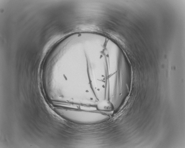 X0000069361471200606021441