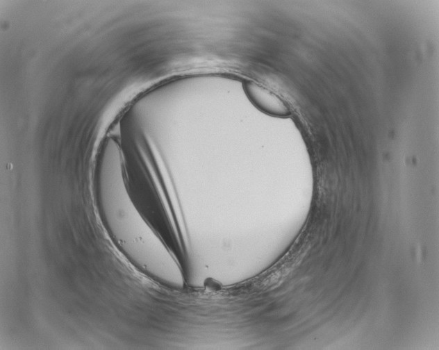 X0000069361472200606021441