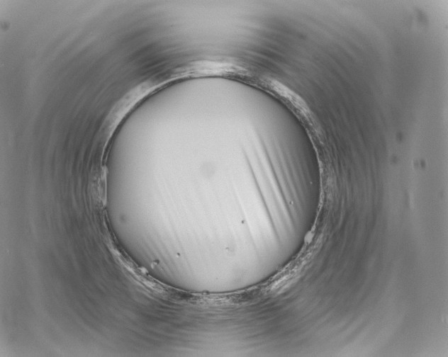 X0000069361473200606021441