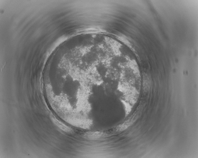 X0000069361474200606021441