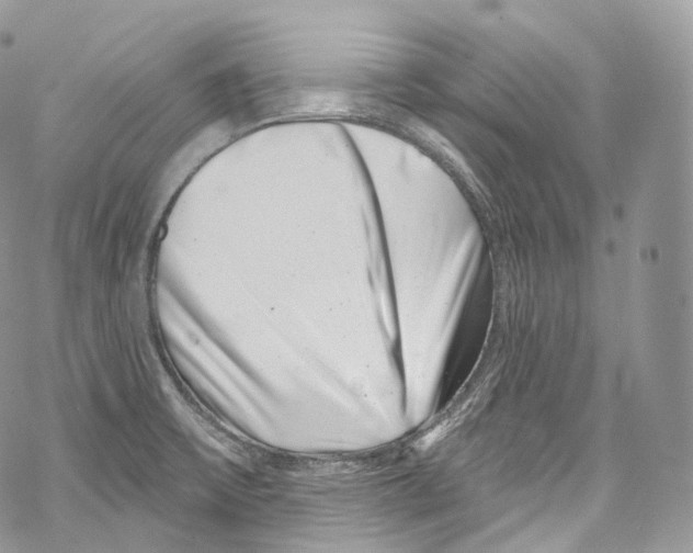 X0000069361475200606021441