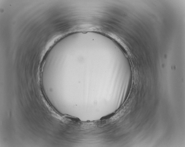 X0000069361477200606021441