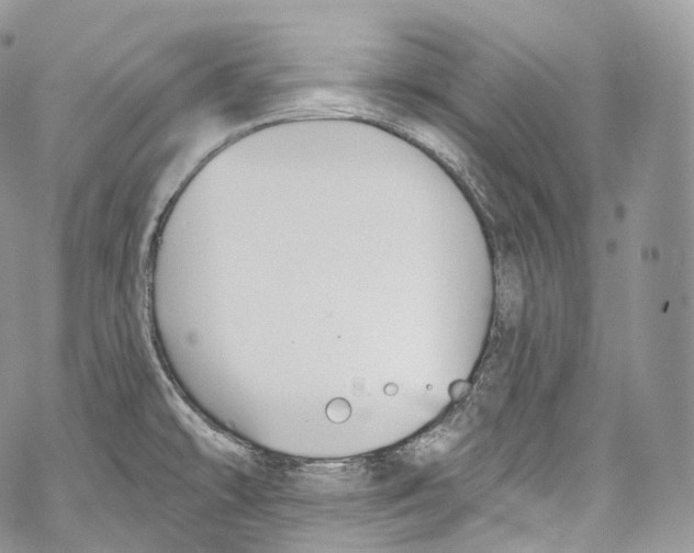 X0000069361478200606021441