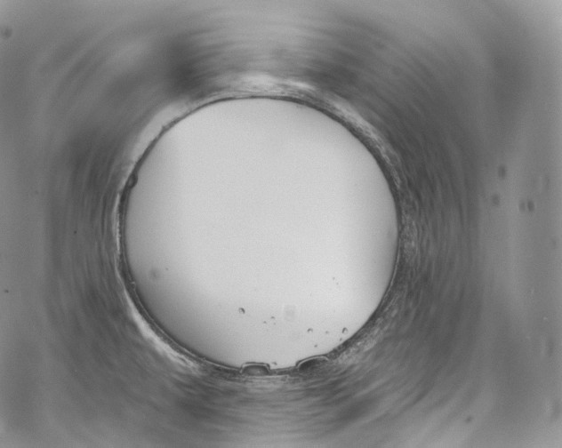 X0000069361479200606021441