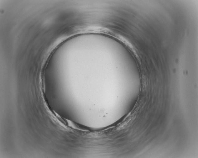 X0000069361480200606021441