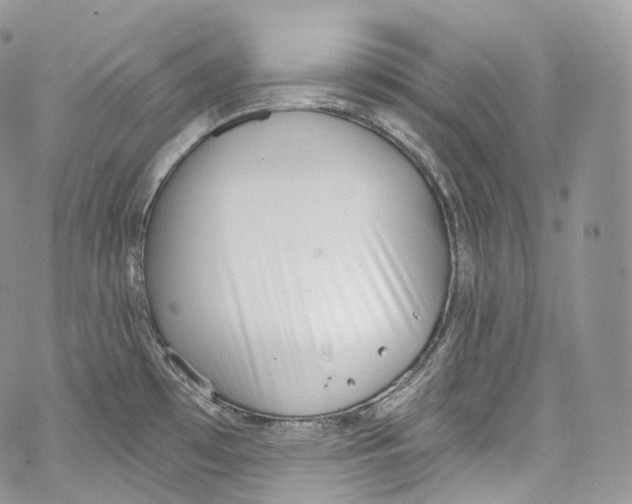 X0000069361481200606021440