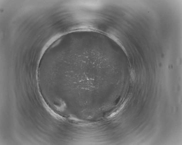 X0000069361482200606021440