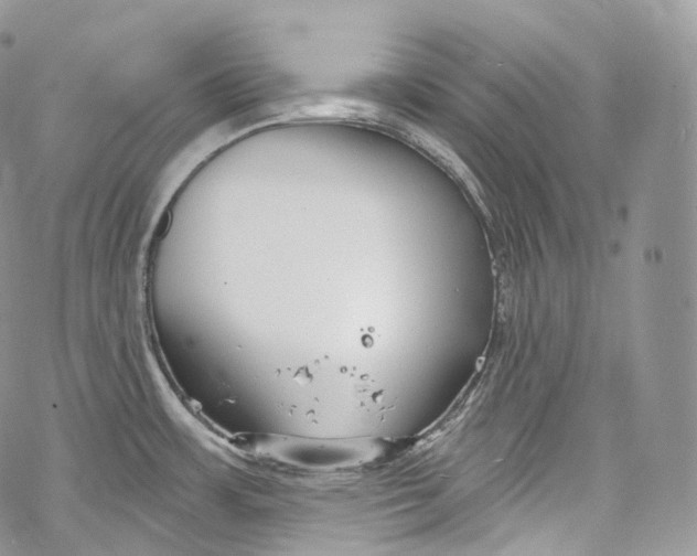 X0000069361483200606021440