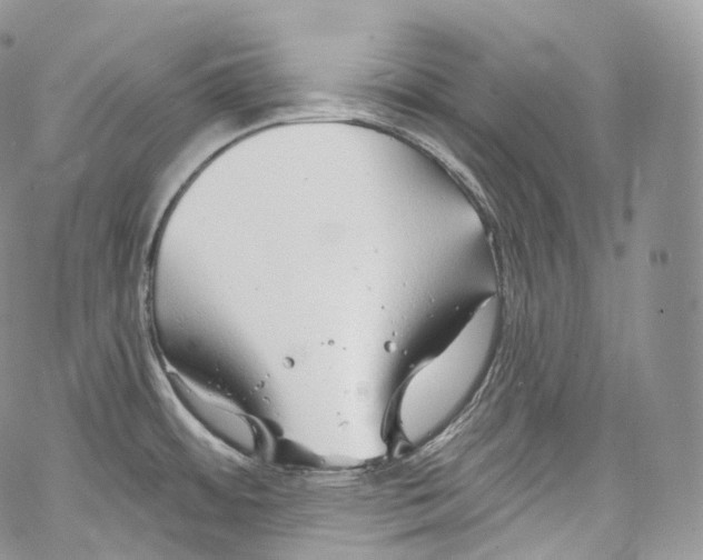 X0000069361484200606021440