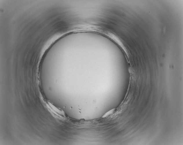 X0000069361485200606021440