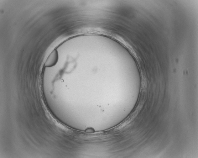 X0000069361486200606021440