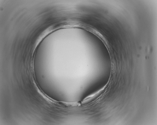 X0000069361487200606021440