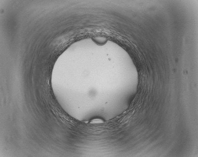 X0000069361489200606021440