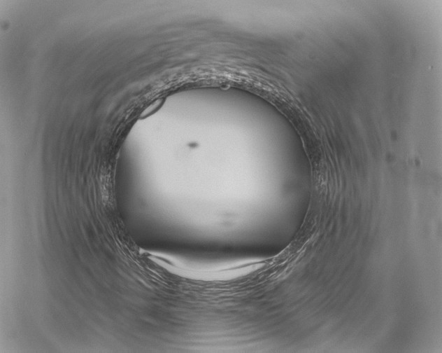 X0000069361490200606021440