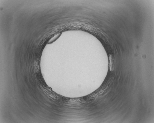 X0000069361491200606021440