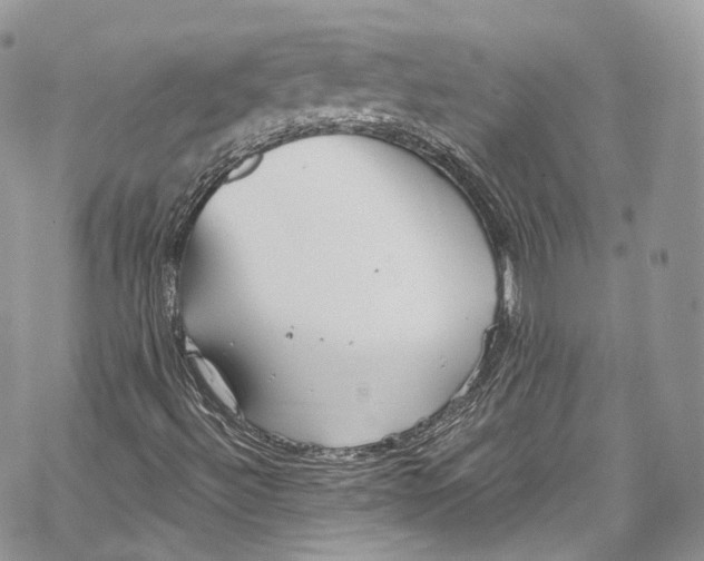 X0000069361492200606021440