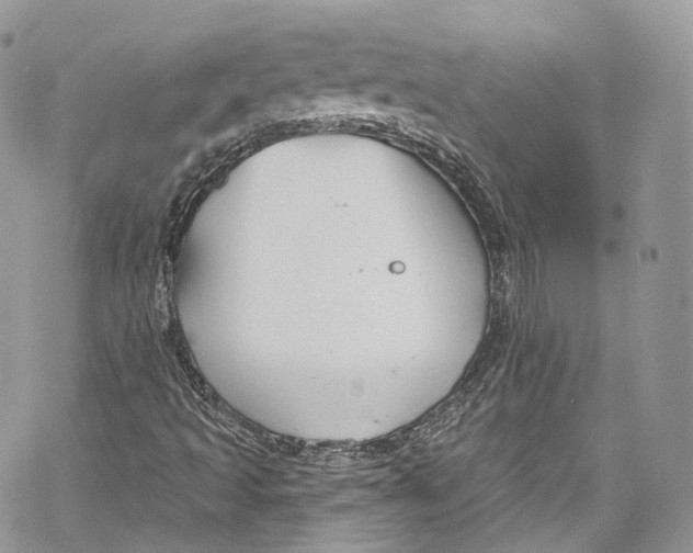 X0000069361493200606021440