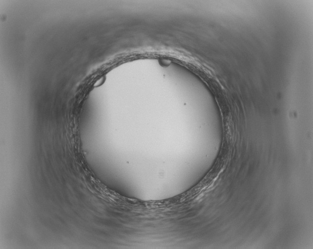 X0000069361494200606021440