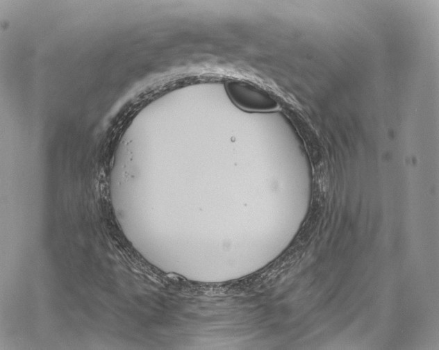 X0000069361495200606021440