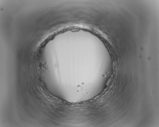 X0000069361496200606021440