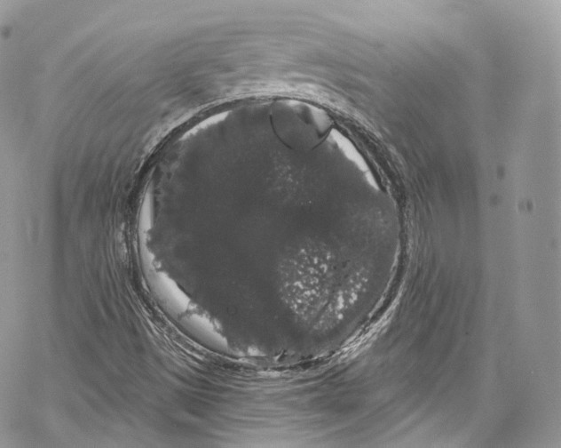 X0000069361497200606021440