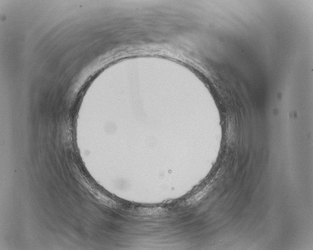 X0000069361498200606021440