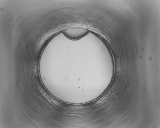 X0000069361499200606021440