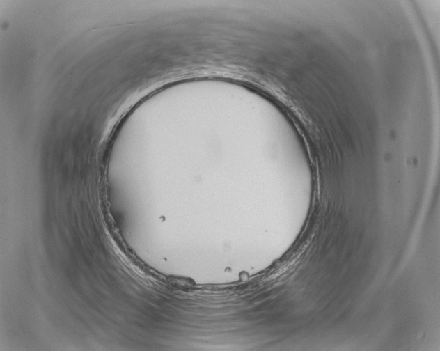 X0000069361500200606021440