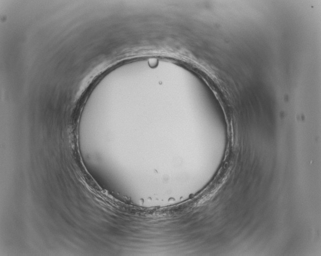 X0000069361501200606021440