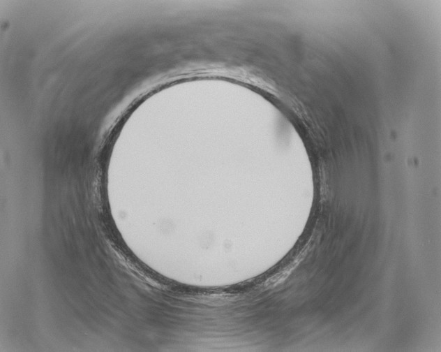 X0000069361502200606021440