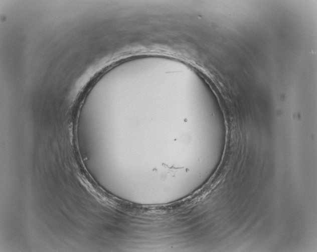 X0000069361503200606021440