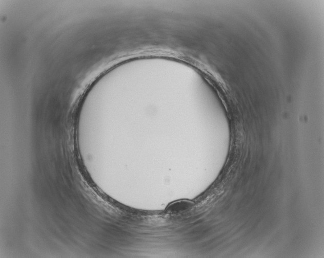 X0000069361504200606021440