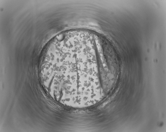 X0000069361505200606021440