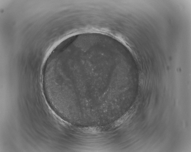 X0000069361508200606021440