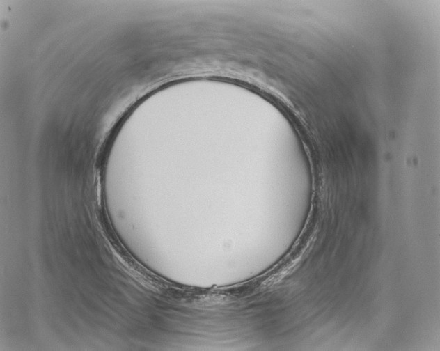 X0000069361509200606021440