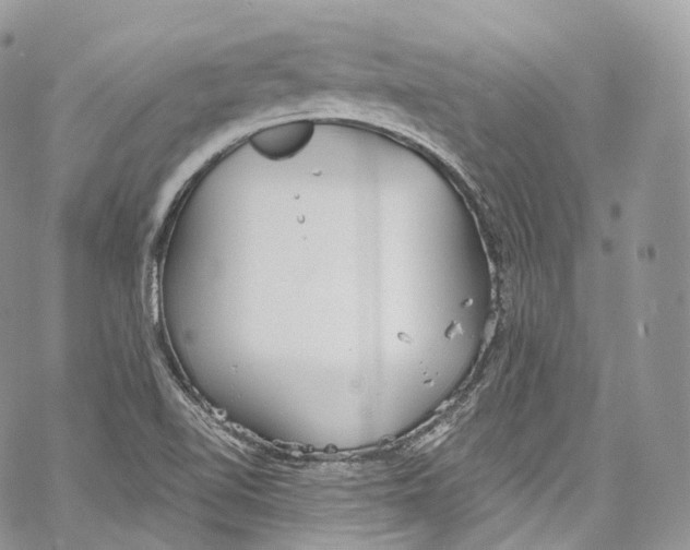 X0000069361510200606021440