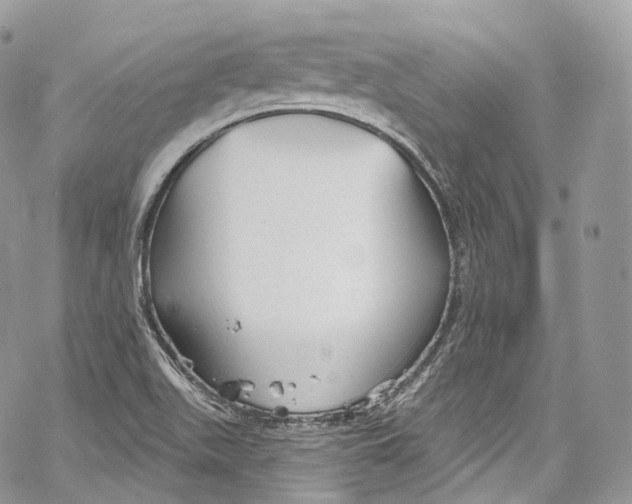 X0000069361511200606021440