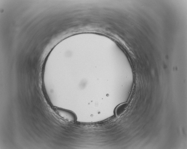 X0000069361512200606021440