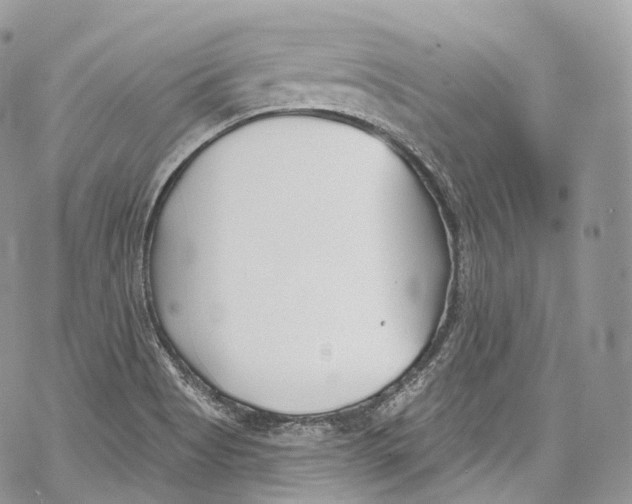 X0000069361513200606021440