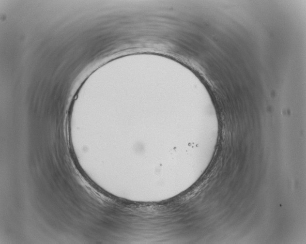 X0000069361516200606021440