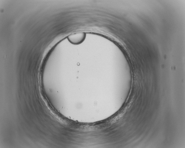 X0000069361517200606021440