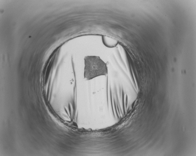 X0000069361519200606021440