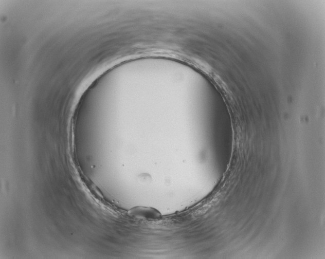 X0000069361520200606021440