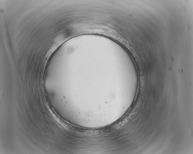 X0000069361521200606021440