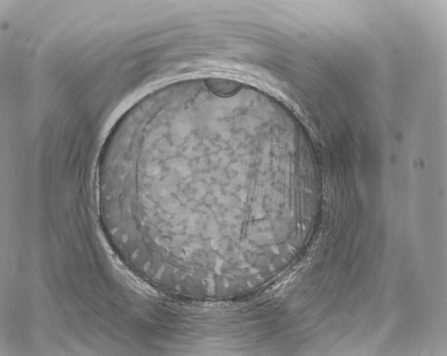 X0000069361522200606021440