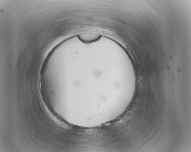 X0000069361523200606021440